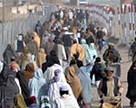 More than 2,000 Afghan  Citizens anchor Rounded  up  in Peshawar